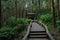 Wooden stairs climbing steps in deep forest