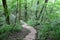 Wooden stairs in the forest. Sigulda.