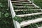 Wooden stairs with grass and foliage growing under. Hard way to success through self-growth. Natural pathway for hiking or