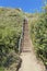 Wooden stairs with handrailing on a hill at San Clemente, California