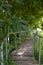 Wooden stairs with iron railings along thickets of trees and grass