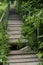 Wooden stairs with iron railings along thickets of trees and grass