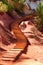 Wooden stairs on Le Sentier des Ocres in Roussillon in France