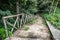 Wooden stairs / path through the forest
