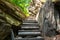 Wooden stairs on a rocky path between rocky walls facing upwards