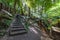 Wooden stairs and signpost in jungle Australian Rainforest.