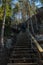 Wooden stairs to the peak of the rock in the national park Repovesi, Finland