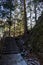 Wooden Stairs Way Altindere Valley Park Trabzon Turkey