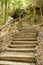 Wooden stairs with wooden railing up to the steep hillside