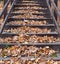 Wooden stairway covered with fallen autumn leaves