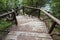 Wooden stairway goes down in the forest