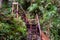 Wooden stairway on hike in Bako National Park