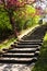 Wooden stairway in a park