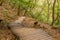 Wooden stairway on side of mountain