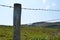 Wooden stake with barbed wire boundary of pasture