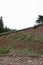 Wooden stakes fence falling down cliff