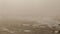 Wooden stakes on a foggy beach