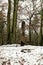 Wooden statue of the pagan god on the snowy hill