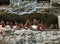 Wooden Statues Of Tau Tau. Lemo is cliffs old burial site in Tana Toraja. South Sulawesi, Indonesia