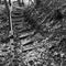 Wooden steps in the ground. Abandoned staircase in the woods.