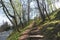 Wooden steps on the hill leading to the Butcher`s tower in Sighisoara