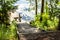 Wooden steps lead to the river and the pier, among grass and trees, on a sunny summer day, in the countryside