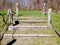 Wooden steps lead up to an open field