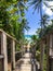 Wooden steps leading down to the beach. Wooden stairs down to the tropical beach. Phuket freedom beach Thailand. Summer day