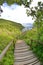 Wooden steps leading to a scenic lookout in the Galapagos