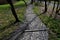 wooden steps in the park combined with paving in the lawn. the stair