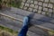 wooden steps in the park combined with paving in the lawn. the stair