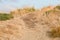 Wooden steps on sand dune on ocean shore at early morning