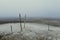 Wooden stick in sand dry pond ground under misty fog. Apocalyptic, horror, tranquil czech landscape