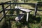 Wooden stile on a country footpath