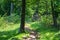 Wooden Stile Crossing a Fence in a Mountain Meadow