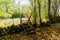 Wooden stile crossing an old stone wall by a trail in fall season