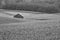 Wooden Storage Shed In Fenced Farm Field Black And White