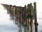 Wooden structure along coast