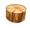 Wooden stump forest tree trunk cut section in cartoon style isolated. Plant detailed. Log with bark.