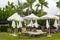 Wooden sun beds and white umbrellas on lawn with green grass