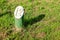 Wooden sun clock numbers in the grass