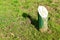 Wooden sun clock numbers in the grass