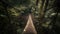 Wooden suspended bridge in a forest. Generative AI