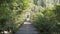 Wooden suspension bridge leading through the tropical forest.