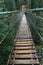 Wooden suspension bridge with wired fences surrounded by greenery in a forest