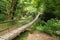 Wooden suspension bridge in wood