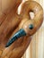 Wooden Swan Sculpture