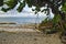 A wooden swing on Autre Bord beach in Le Moule in Guadeloupe, French west indies. Lesser Antilles, Caribbean sea