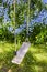 A wooden swing hanging in a garden of lush Bluebell flowers on a sunny day. Peaceful backyard of harmony in nature, the