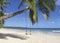 Wooden swing on palm tree on tropical golden sand beach. Caribbean landscape. Swing hangs under coconut tree in beautiful tropical